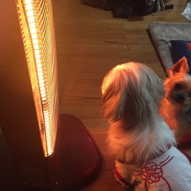 kohtokuのカバー写真