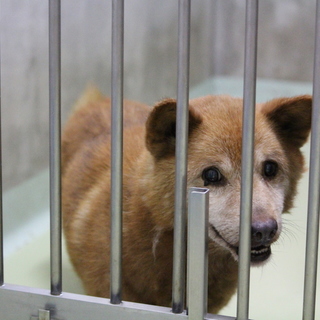 身体はボロボロだけど…まだ生きたい！！