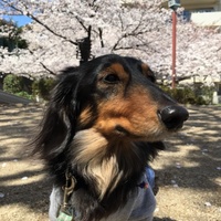 笠原なっつ