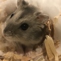 急募です(´；ω；｀)