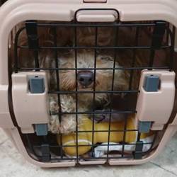 置き去り…(T0T)