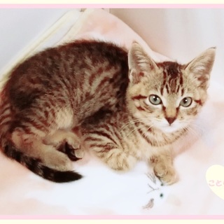 ひとり遊びが上手なことらちゃん♪