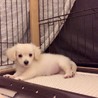 一旦、募集を止めさせて頂きます！ サムネイル2