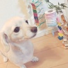 一旦、募集を止めさせて頂きます！ サムネイル4