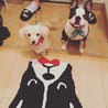 一旦、募集を止めさせて頂きます！ サムネイル6