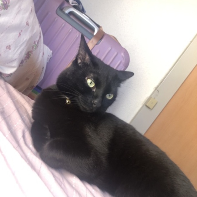 krizandramaeのカバー写真