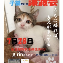 緊急！子猫だけの譲渡会