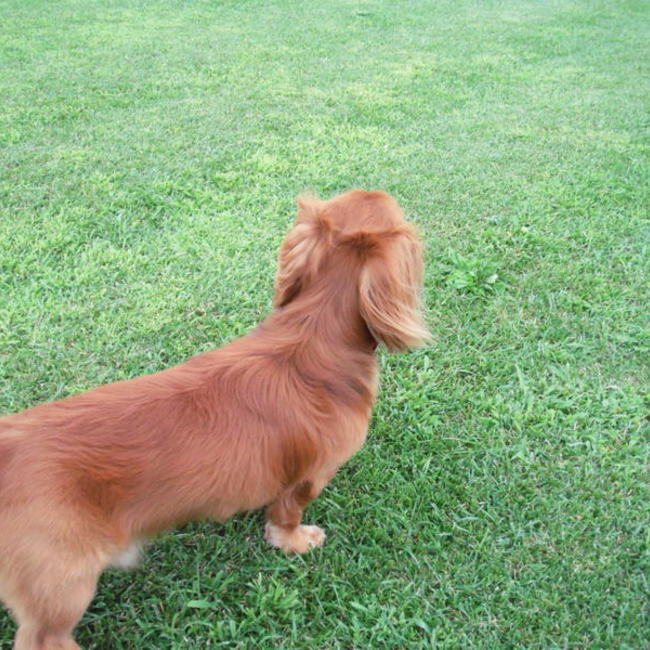 ジャック2006のカバー写真