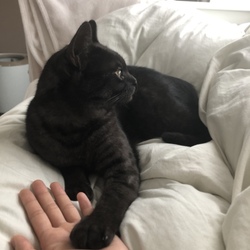 のんびり