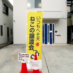 いつもへそ天　猫の譲渡会 サムネイル2