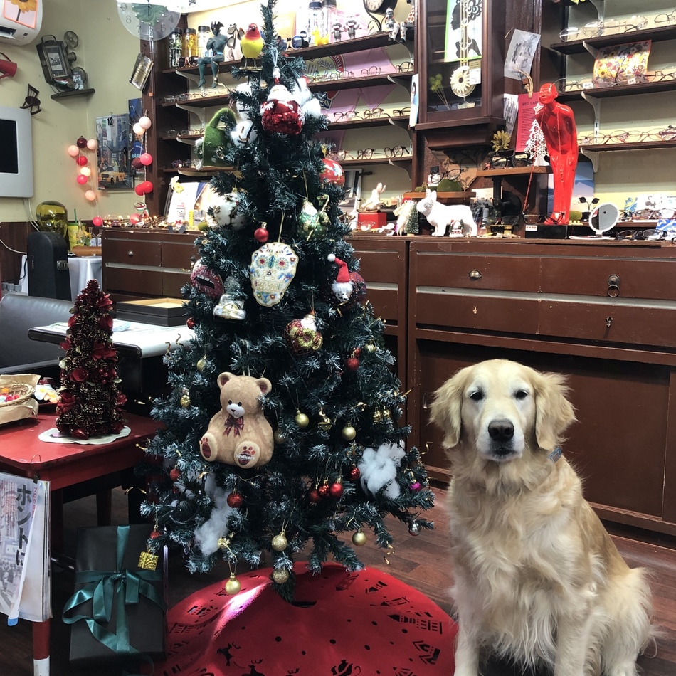 モモのカバー写真