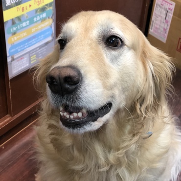 お客様からハイチーズ