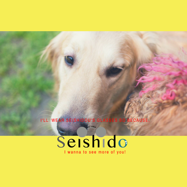 モモをモデルにメガネ拭き作っちゃいました。