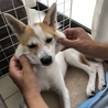 息子にほっぺをムニーッとされています✩.*˚