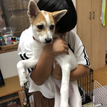 の写真