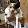 の写真