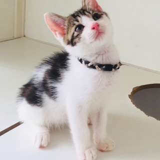 ごきげん坊や ♪