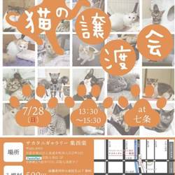 猫の譲渡会＠京都サカタニギャラリー サムネイル1