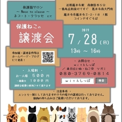 藤井寺 保護猫譲渡会