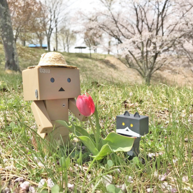 ＊ゆきくま＊のカバー写真