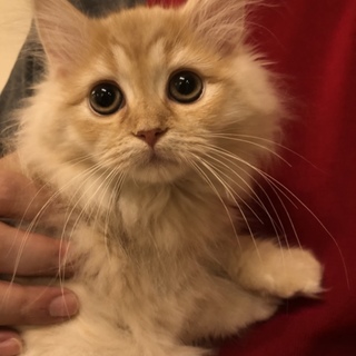 沢山のご依頼に感謝しております。