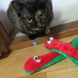 「ルームサービス」サムネイル3