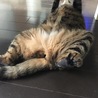 腹出しして、無防備