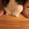 ここが好き