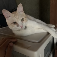こめ