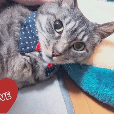 エリがかわいい♡