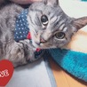 エリがかわいい♡