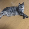 床にゴロン