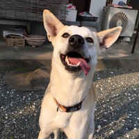 はる