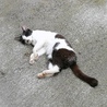 ぐっすり
