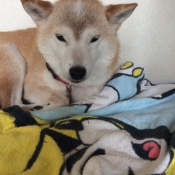 こ、これは。。。Part3？(?_?)〜もどき？〜