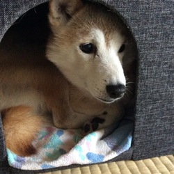 「こ、これは。。。Part3？(?_?)〜もどき？〜」サムネイル3