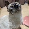 の写真