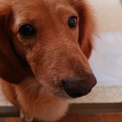 新しい我が家の家族。