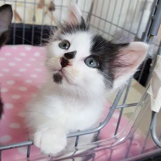 募集更新の為終了（仁くん）