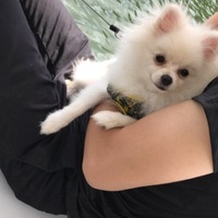 わたこ