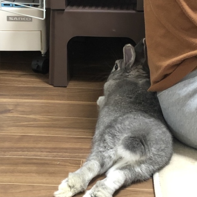 なかざんのカバー写真