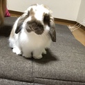 一旦締切ます！