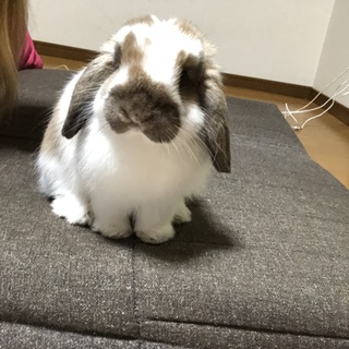 一旦締切ます！