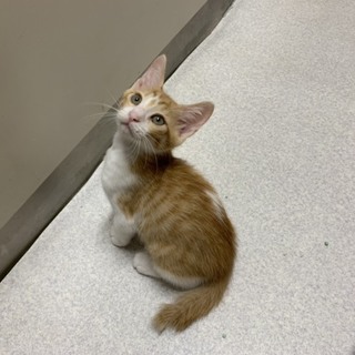 とっても甘えん坊なイクラくん