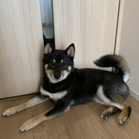 はる