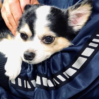 甘えん坊の男の子