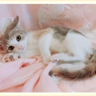 マイペースなお転婆ガールのぱすちゃん♪