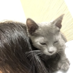 「耳ダニなおってきたかな。」サムネイル2