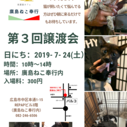 廣島ねこ奉行　第3回譲渡会