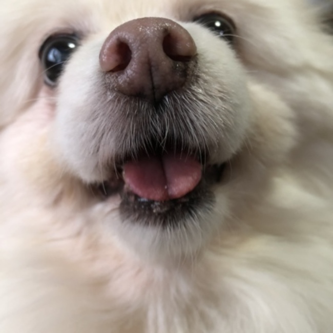kae☆のカバー写真